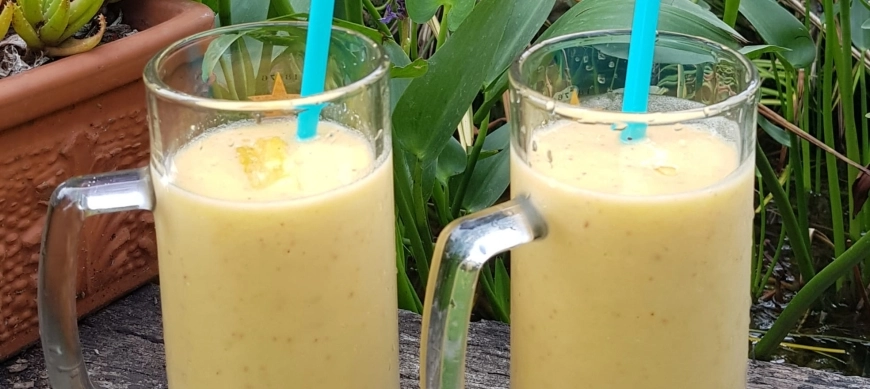 "Receta fácil y veraniega con Thermomix®: BATIDO DE PIÑA Y LECHE DE COCO