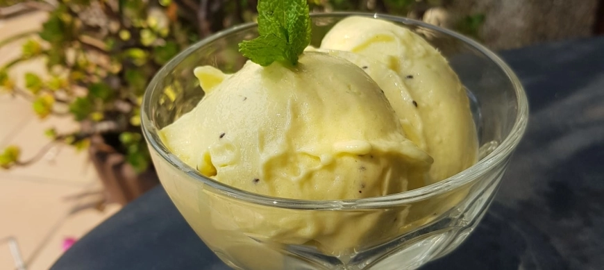 Mis Helados con Thermomix®: Helado casero de kiwi, piña y mango ( Con Video).