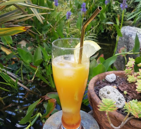 COMO PREPARAR COCTELES EN Thermomix® - COCTEL FIERO CON TONICA Y NARANJA